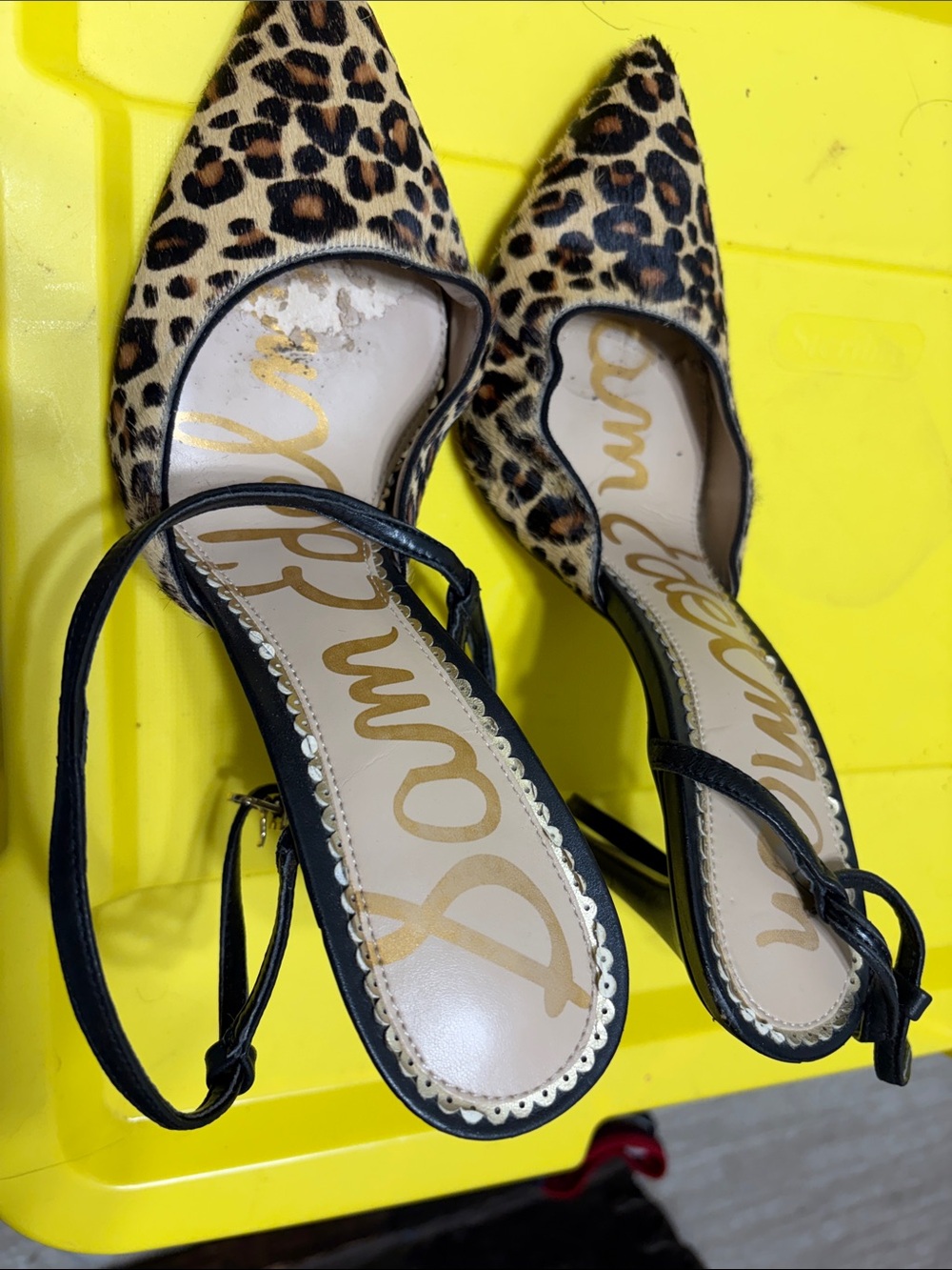 Sam Edelman Leopard Print Pointed D'Orsay Flats with Black Straps